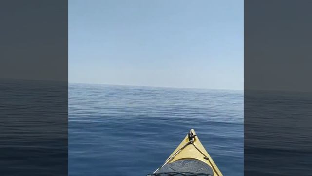 Встреча с дельфинами, Крым смотреть онлайн