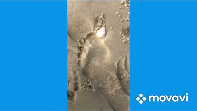 Тайланд в феврале. Огромный краб ? на острове яо-яй смотреть онлайн