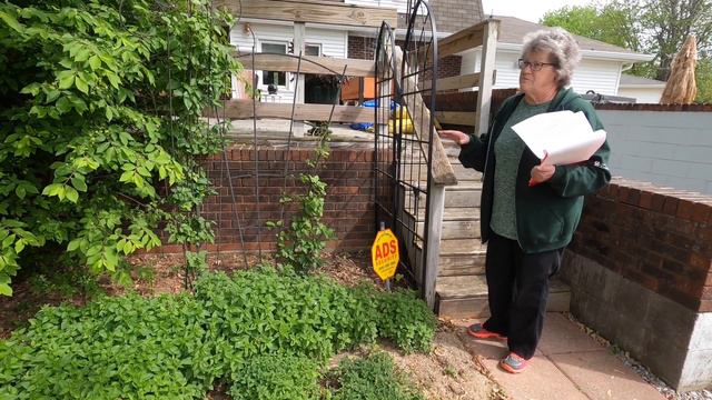 Let's Talk Gardening Episode 1- Hostas, Clematis and Coral Bells. смотреть онлайн