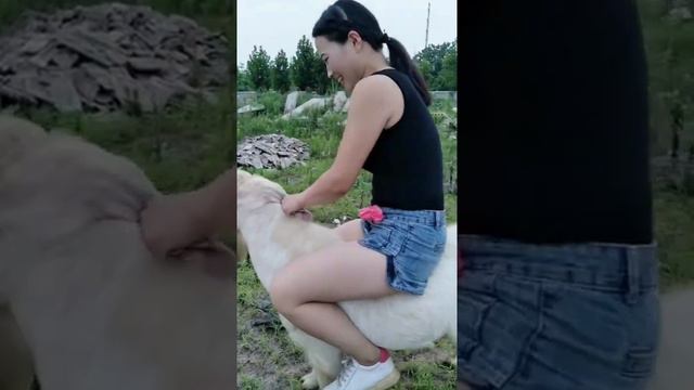 Girl rides her goat