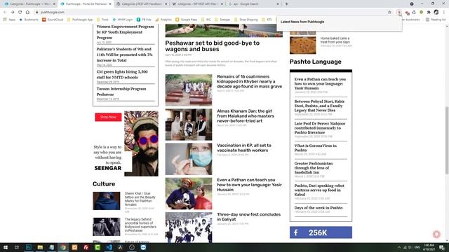 Wordpress Restful API Complete Guide | Pashto смотреть онлайн