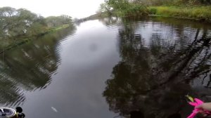 Осенняя щука на Пахре