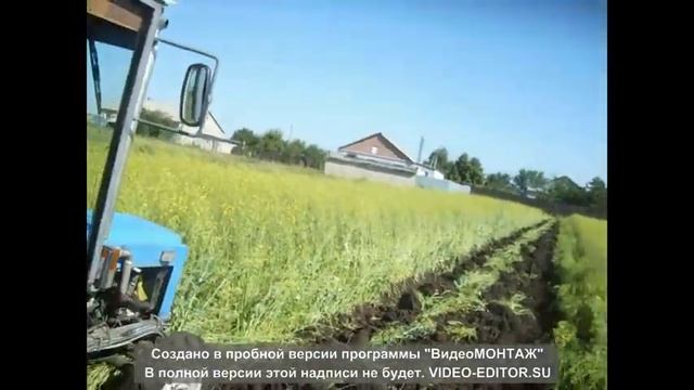 запахиваю горчицу на сидераты смотреть онлайн