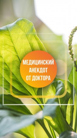 Профессиональный анекдот от Доктора Первушкина