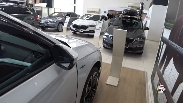 SKODA ЦЕНЫ январь 2022 смотреть онлайн