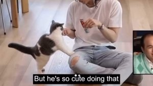 Taemin and his cat ??#kpop #taemin #taeminshinee #shinee #catlover