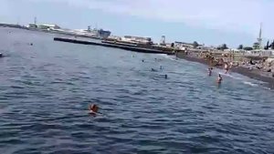 Рыбалка в Сочи с берега: Барабуля, Морской карась
