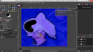 11. Gimp. Шаг за шагом. Выделение переднего плана.