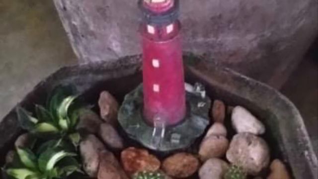 SANSEVIERIA COLLECTION || RARE ‘Sanse’ смотреть онлайн