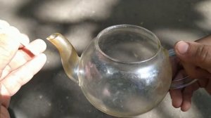 Как почистить носик заварочного чайника изнутри.