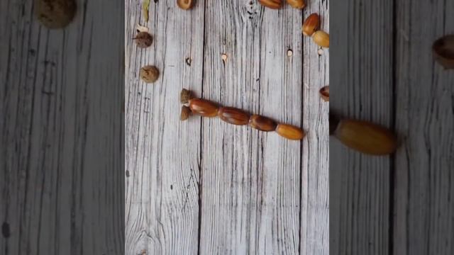 "Стрекоза " из природного материала.#поделки #своимируками  #изприродногоматериала #поделкивсад смотреть онлайн