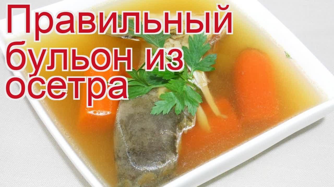 Рецепты из осетра - как приготовить осетра пошаговый рецепт - Правильный бульон из осетра смотреть онлайн