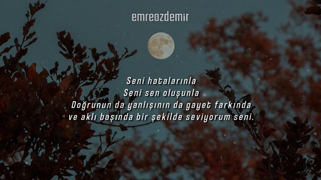 Ama Ben Seni Seviyorum - Murat Çağlar | Emre Özdemir смотреть онлайн