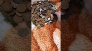 Сколько денег в трёхлитровой копилке?