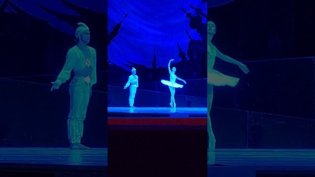 3 акт Баядерки. Выход Никии (Лири Вакабаяси) #ballet