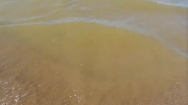 Массовая гибель рыбы на Волге смотреть онлайн