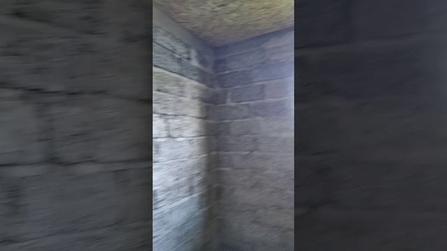 Потолок подшит. Строим одноэтажный ? 8*9, из наших арболитовых блоков. смотреть онлайн