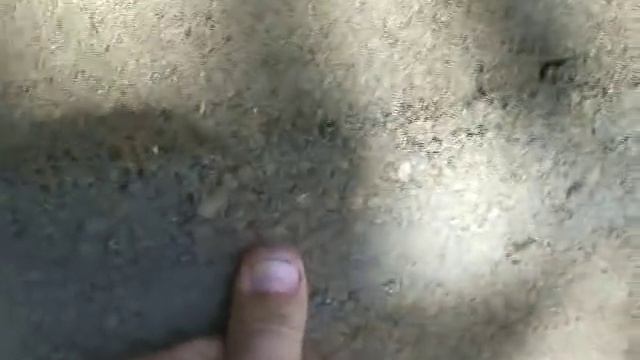 Опилки и цемент (арболит) смотреть онлайн