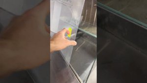 Настольная витрина Арктика