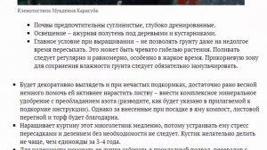 Мукдения посадка и уход Описание вида Фото