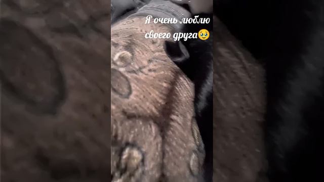 Я очень люблю своего друга 🥹 я за него готова жизнь отдать 😄