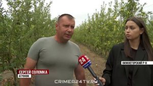 В Крыму собрали почти девять тысяч тонн яблок ранних сортов