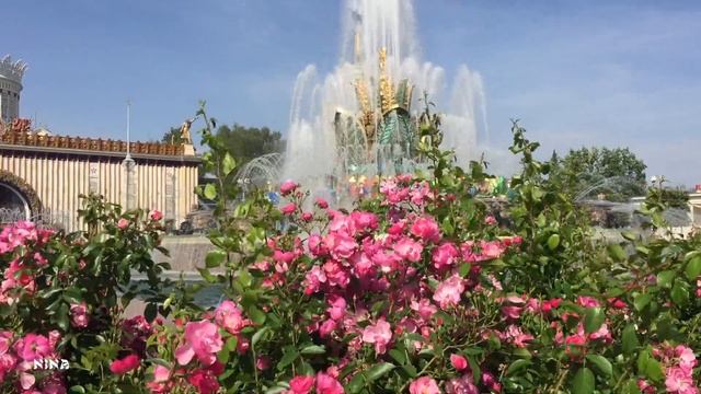 Для Вас Красивая и Вдохновляющая МУЗЫКА с Прекрасными Розами и Фонтаном! смотреть онлайн