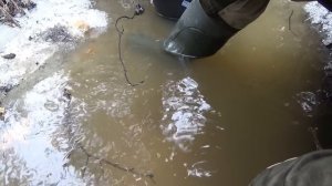 Золото в магнетите!!! Первый весенний поиск!!!