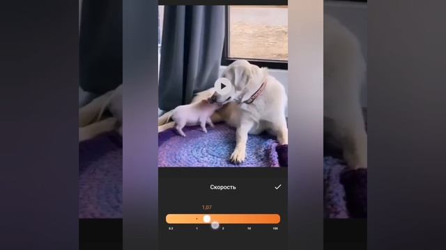 Как увеличить или уменьшить скорость воспроизведения видео. #ИНФОпродюсер_Омрада