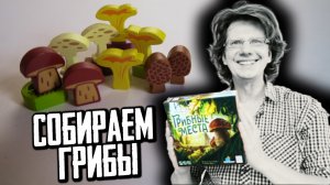 ГРИБНЫЕ МЕСТА ? Летсплей втроём! Идём в лес и ищем Сморчки, Белые грибы и Лисички! Секреты грибнико