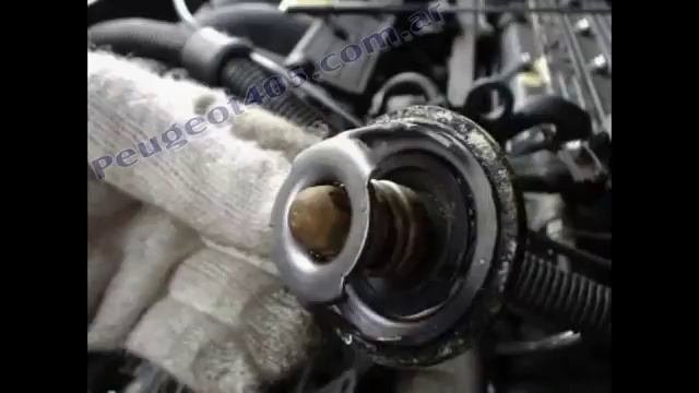 Changement Thermostat D'essence Peugeot 405