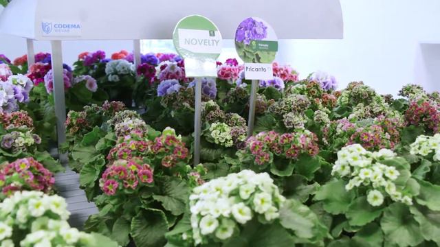 Flower Trials 2018 Aftermovie смотреть онлайн