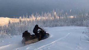 Arctic Cat Beardcat Z1 XT по глубокому снегу