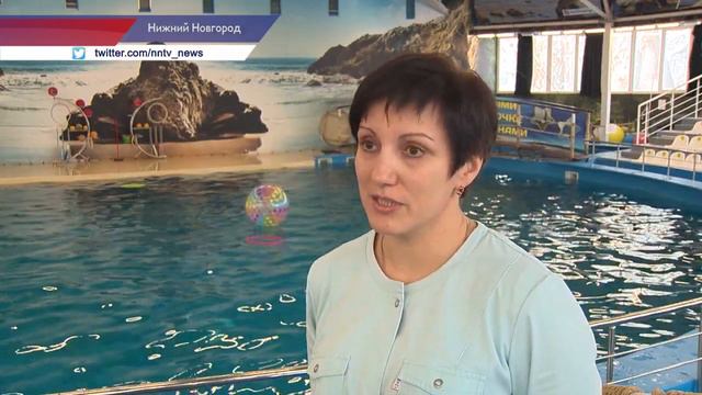 Россельхознадзор проверил условия содержания животных в нижегородском дельфинарии