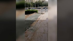 Эмиграция в Египет. Жизнь в Египте. Первый день