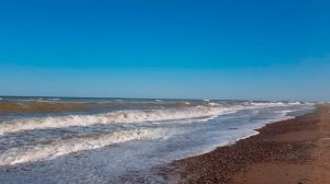 Шум моря для сна. Чайки. Морской прибой. Звуки природы.