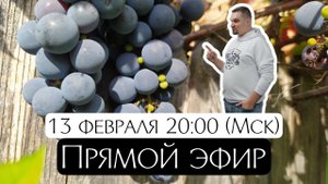 Прямой эфир с Евгением Никошенко от 13.02.2023