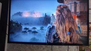 Horizon Zero Dawn PS4 Pro 60fps [достижения: "Заручиться поддержкой всех союзников"] и Платина.