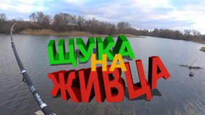 Щука на поплавочную удочку!!! Рыбалка на живца!