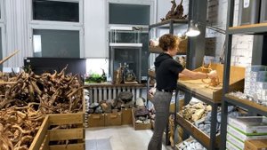 Запуск БОЛЬШОГО Аквариума 300 л/ Светильник Chihiros RGB Vivid 2 / 1 часть