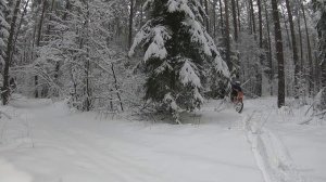 Эндуро зимой на мотоцикле Enduro Racer 250XZR, снежный зимний лес