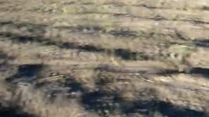 Копалка картофеля КОННАЯ,а  тянет МОТОБЛОК.