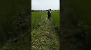 Husqvarna brush cutter 131RB. ph.6296870209