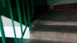 Лифт Сиблифт 2017 года Q=400kg V=1м/с!