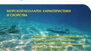 Морской коллаген: характеристики и свойства
