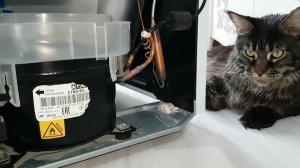 Холодильник ATLANT (АТЛАНТ) ХМ-4008-022