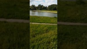 Воробьевский пруд 27 августа 2019 г. Москва