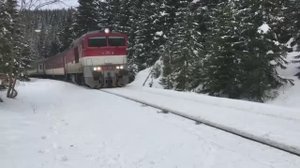 Пригородный поезд через заснеженный лес