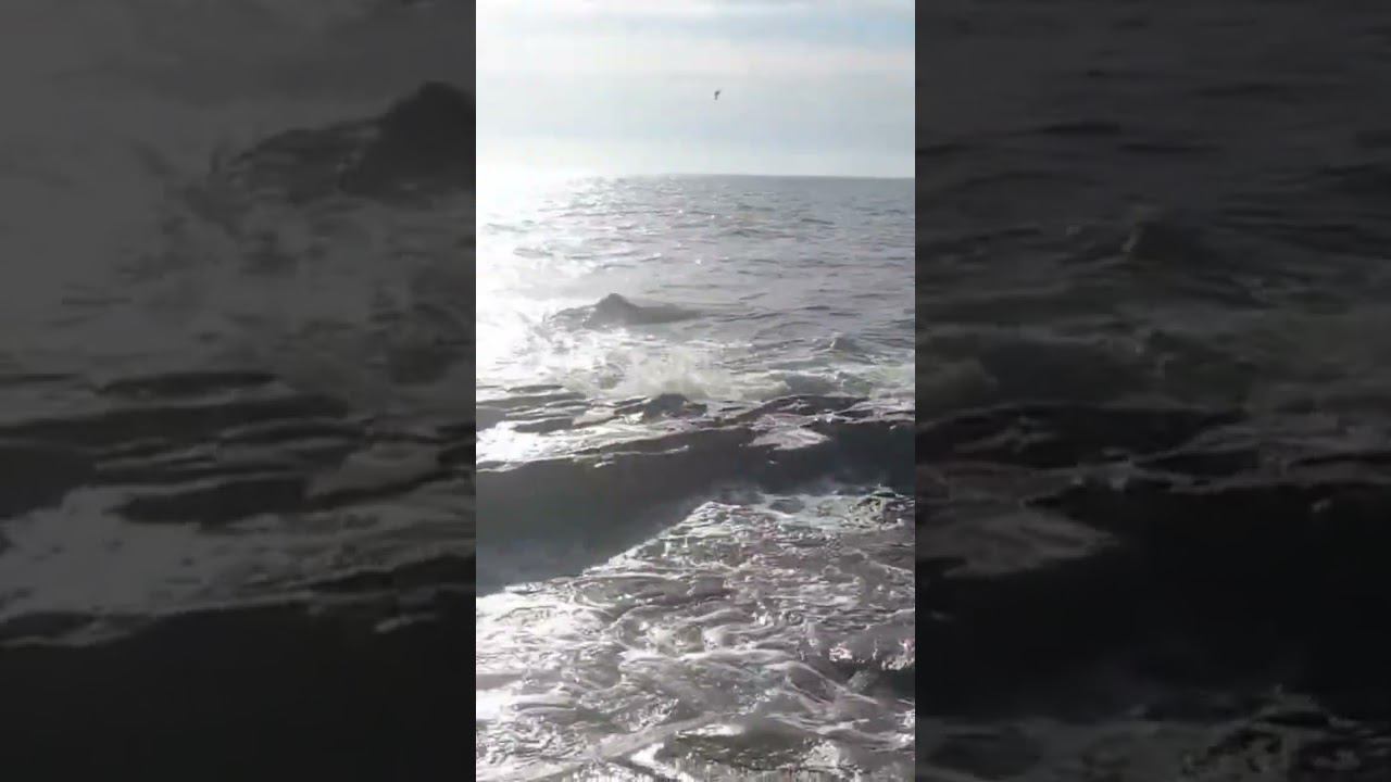 Белое море! красота! #море #белоеморе