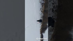 Шуруповерт с Алиэкспресс и шнек мотошторм R-130 пробуем на льду.